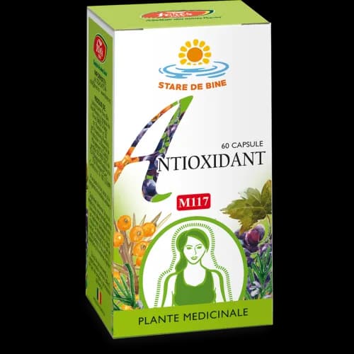 Antioxidant, 60 capsule